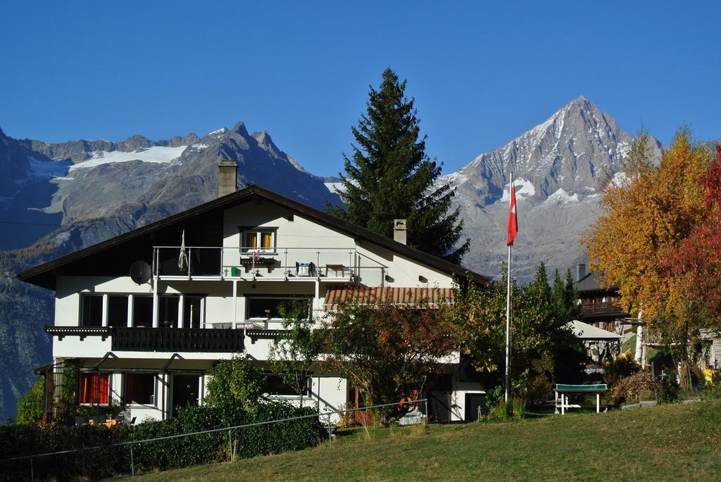 Fortuna Bürchen Стая снимка